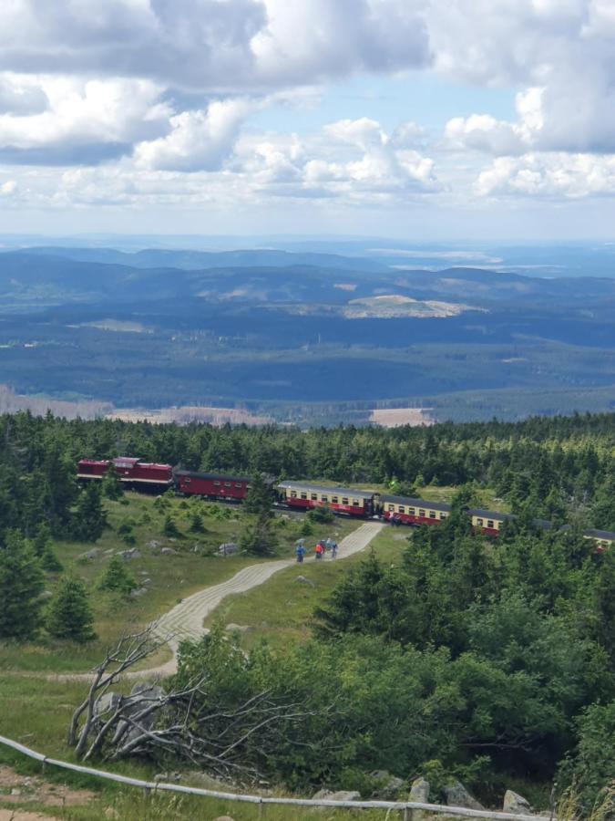 Modernisierte Ferienwohnung Naturseelen Mit Schwimmbad Und Sauna Braunlage Εξωτερικό φωτογραφία