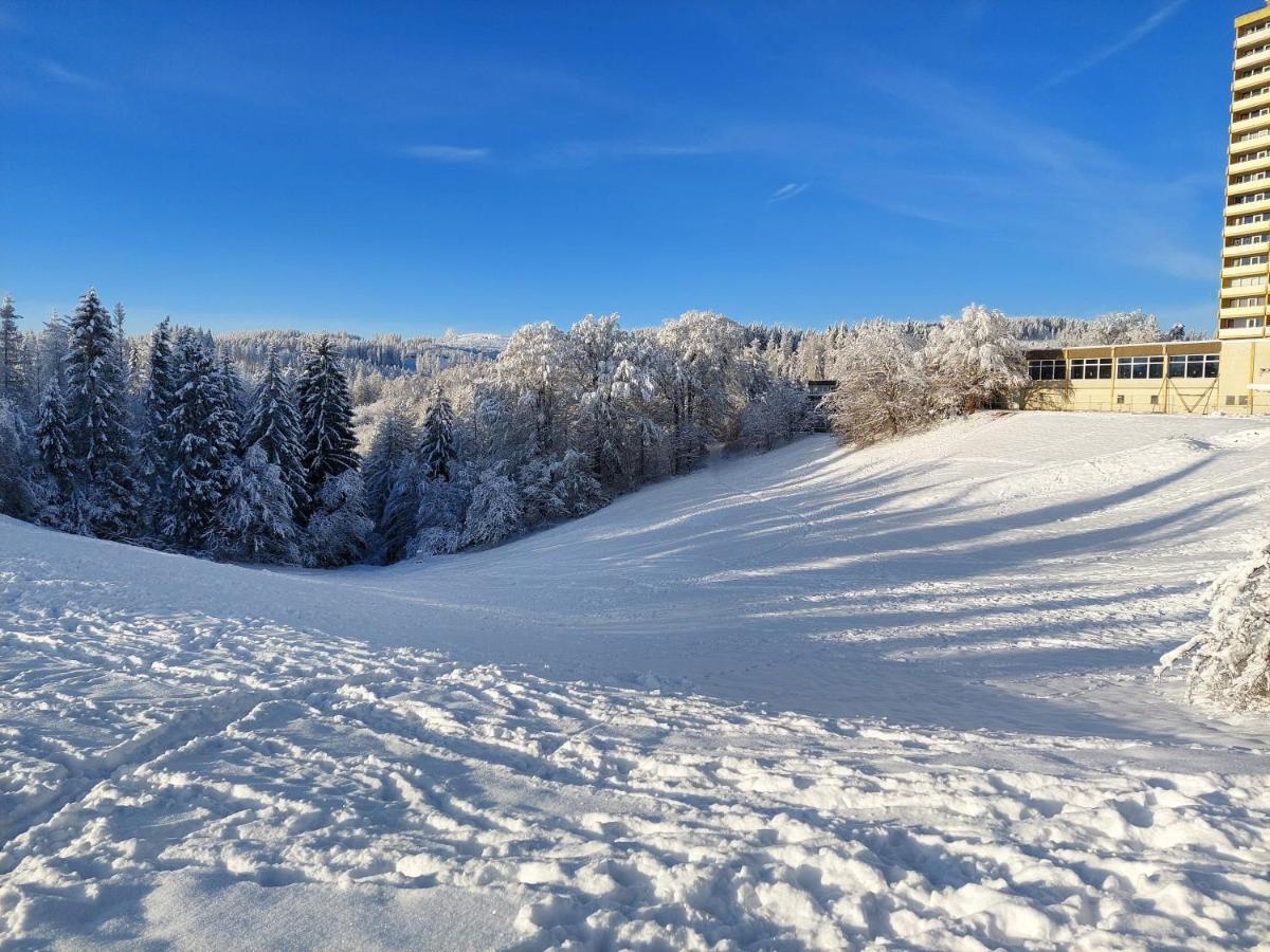Modernisierte Ferienwohnung Naturseelen Mit Schwimmbad Und Sauna Braunlage Εξωτερικό φωτογραφία