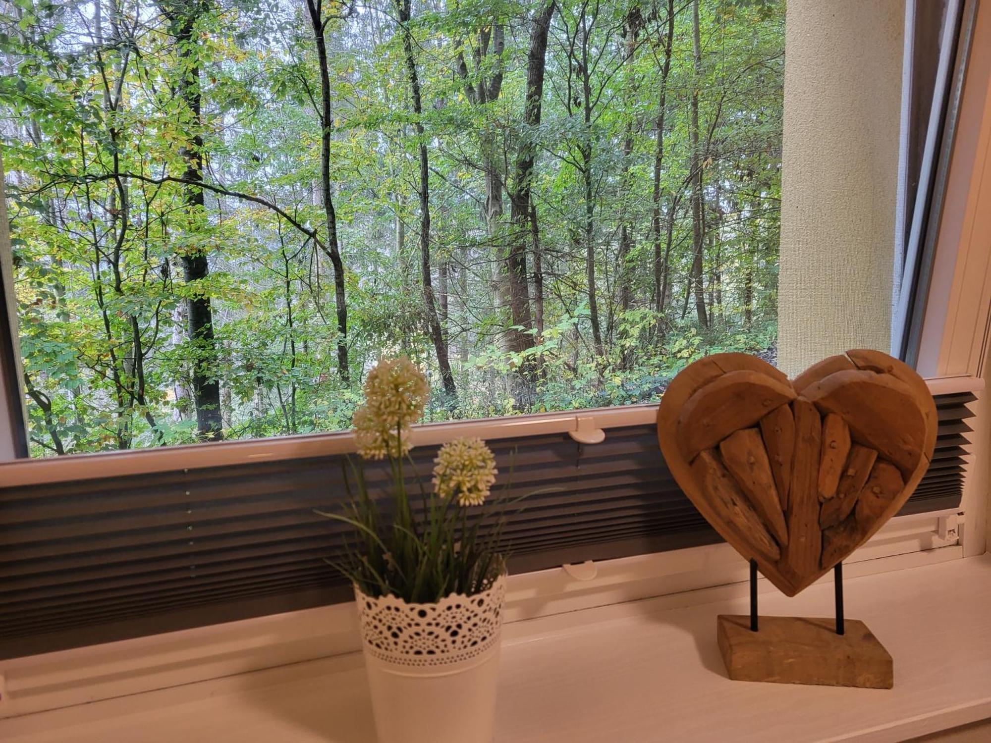 Modernisierte Ferienwohnung Naturseelen Mit Schwimmbad Und Sauna Braunlage Εξωτερικό φωτογραφία